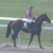 【競馬】幸四郎、父邦彦の死に…声を震わせ号泣