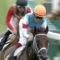 【競馬】福永でもディープインパクトは勝てるだろ