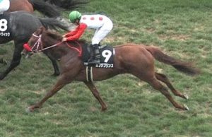 【競馬】カフジプリンス、神戸新聞杯へ 【競馬】カフジプリンス、神戸新聞杯へ