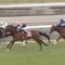 【競馬】アンカツ「弥生賞見てもやっぱり能力はリオンディーズが抜けてる」