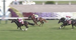 【競馬/京都新聞杯】ダービー、スマートオーディンを加えて7強になる