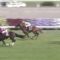 【競馬/京都新聞杯】ダービー、スマートオーディンを加えて7強になる