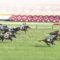 【競馬/ダービー】Mデムーロ「(上がり33.1のリオンディーズについて)伸びませんでした。」