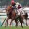 【競馬/ヴィクトリアM】ドンキを買う理由まじである？