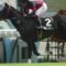 【競馬/ダービー】ハートレーもシルバーステートもポルトフォイユもバティスティーニいないダービーなんて...