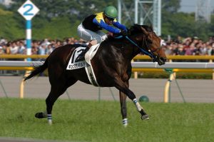 【競馬】キングカメハメハ産駒、JRA通算1400勝達成…JRA史上6頭目の記録