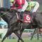 【競馬】ゴールドアクターに乗る横山ノリ「不安なことはない。馬にやる気はあるよ。」