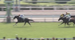 【競馬】最強世代のD級馬ナムラシングンが古馬相手に圧勝した件