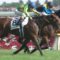 【競馬/毎日王冠】人気予想してみるけど、１番人気ってもしかして？