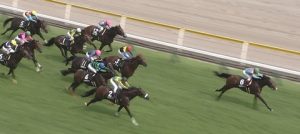 【競馬】のちの無敗の菊花賞馬サトノキングダム出陣！（先週の日曜日）
