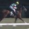 【競馬】ミリッサ福永「届くと思っていたのに反応しなかった......こんな馬ではないのに......」