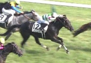 【競馬】リオンディーズの脚質は結局どれが正解なのか? 【競馬】リオンディーズの脚質は結局どれが正解なのか?