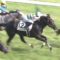 【競馬】リオンディーズの脚質は結局どれが正解なのか？