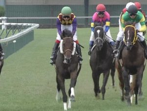 【競馬】函館リーディング1位池添（13勝）2位岩田（11勝）3位三浦（11勝）