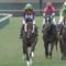【競馬】函館リーディング1位池添（13勝）2位岩田（11勝）3位三浦（11勝）