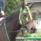 【競馬】ルージュバック大竹氏「今後のことは一切考えられない」