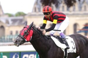 【競馬】エイシンヒカリ日本馬初3ヶ国G1制覇なるか！？