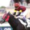 【競馬】エイシンヒカリ日本馬初3ヶ国G1制覇なるか！？