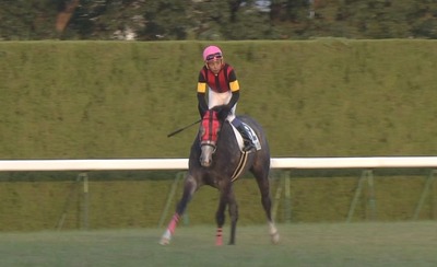 【競馬】武がなかなか勝たせられないエイシンティンクルを岩田が完勝