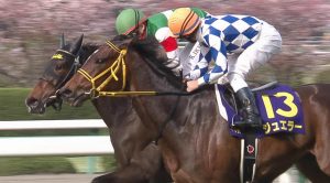 【競馬】シンハライト、ジュエラー、メジャーエンブレム、チェッキーノ、ジェラシー、パールコードらの思い出