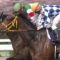 【競馬】デムーロのターンはついに終わってしまったのか？