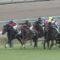 【競馬】戸崎上手すぎワロタwwwwwww