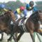 【競馬/日本ダービー】2016年の日本ダービーは超名レース