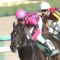 【競馬】スマートオーディン池江厩舎に転厩ワロタwwwww