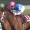 【競馬】福永祐一は宝塚記念でシュヴァルグランを何着に沈めるのか？