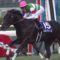【競馬】リオンディーズは天皇賞秋で通用するか？