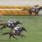 【競馬/NHKマイルC】ロードクエスト勝ててたろこれ