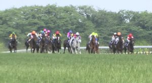 【競馬】ヴィクトリアマイルで誰が１番糞騎乗した？