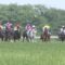 【競馬】ヴィクトリアマイルで誰が１番糞騎乗した？