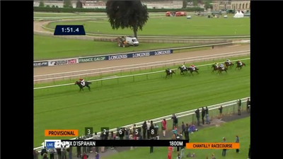 【競馬/イスパーン賞】エイシンヒカリつえええええええええええええ