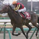 【競馬】ドゥラメンテはキタサンブラックと三度G1で対戦して一度もに先着を許さなかった
