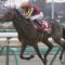 【競馬】クラブ馬が引退して種牡馬入りした際の配当金について
