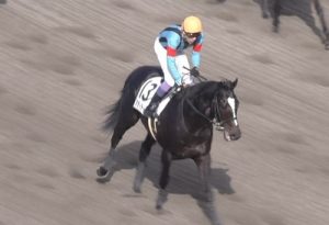 【競馬】アディラート柴田善臣ｗｗｗｗｗｗｗｗｗｗｗ