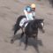 【競馬】アディラート柴田善臣ｗｗｗｗｗｗｗｗｗｗｗ