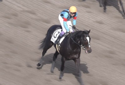 【競馬】アディラート柴田善臣ｗｗｗｗｗｗｗｗｗｗｗ
