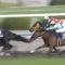 【競馬/マーメイドS】ビッシュとマキシマムドパリ？複勝にするなら？どっち？