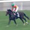 【競馬】モーリスを飼い殺した吉田厩舎(笑)