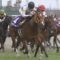 【競馬】調教師「いい騎手が空いていた」←だれを想像した？