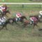【競馬】ルメールの壮絶な糞騎乗で浜中から強奪したダッシングが惨敗