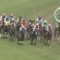 【競馬/オークス】チェッキーノ勝ててただろこれ