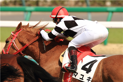 【競馬/スプリングS】松岡正海「藤田菜七子が下手くそなだけだろｗ」