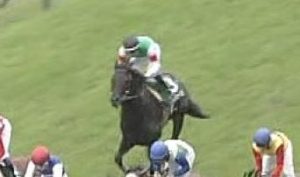 【競馬】なぜ関東でのノーザンキャロットの主戦は柴山なのか？