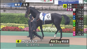 【競馬】2歳馬ウムブルフがフル勃起wwwww