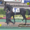 【競馬】2歳馬ウムブルフがフル勃起wwwww