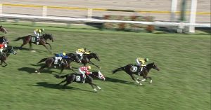 【競馬/桜花賞】桜花賞はヴゼットジョリーを買いましょう