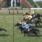 【競馬】ミルコ・デムーロが今日だけで単勝1倍台3連敗なわけだが